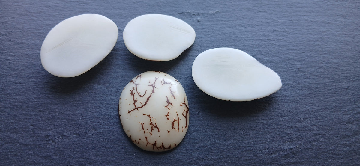 Bijou tagua - tranches de tagua brutes sur ardoise, première étape de fabrication